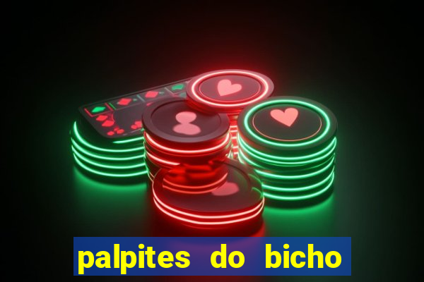 palpites do bicho no celular